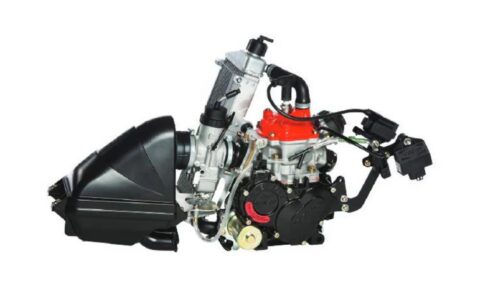 ROTAX 125 SENIOR EVO MAX CPL