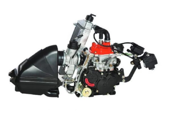 ROTAX 125 SENIOR EVO MAX CPL