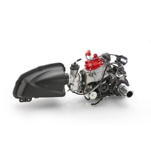 ROTAX 125 DD2 EVO CPL
