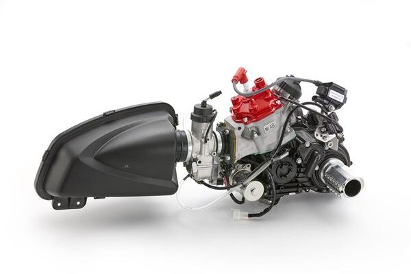 ROTAX 125 DD2 EVO CPL