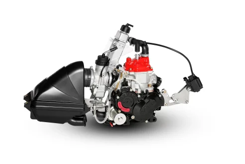 Rotax Max 125 EVO Mini Motor CPL