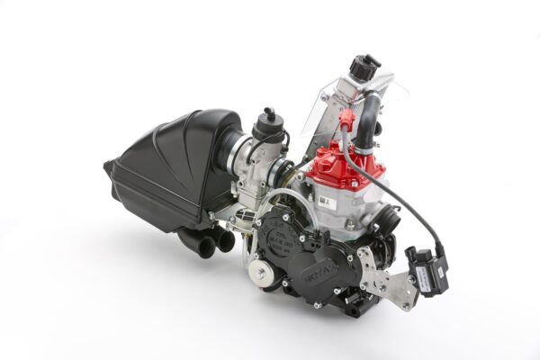 ROTAX 125 JUNIOR EVO CPL